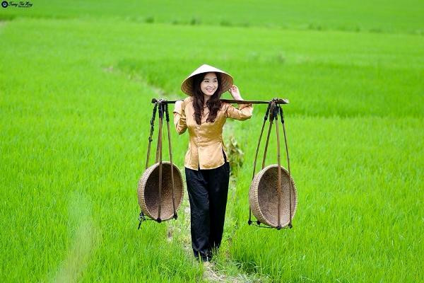 Hậu[-]Giang[-]hợp[-]tác[-]với[-]Hàn[-]Quốc[-]thí[-]nghiệm[-]các[-]chế[-]phẩm[-]sinh[-]học[-]trên[-]lúa[-]